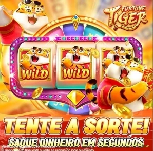 Suporte 2nn